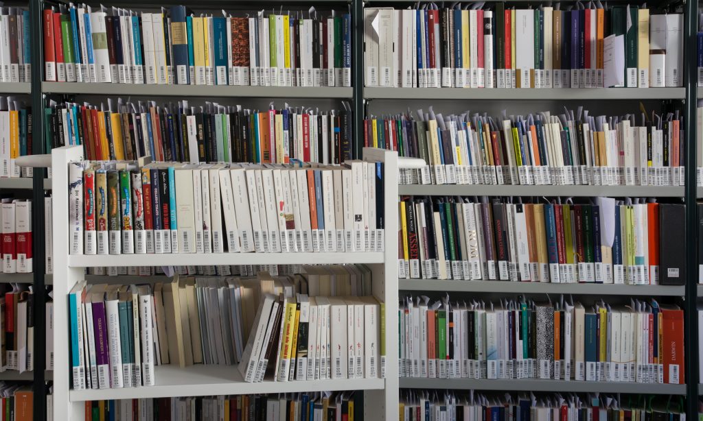 Bibliografia nazionale italiana