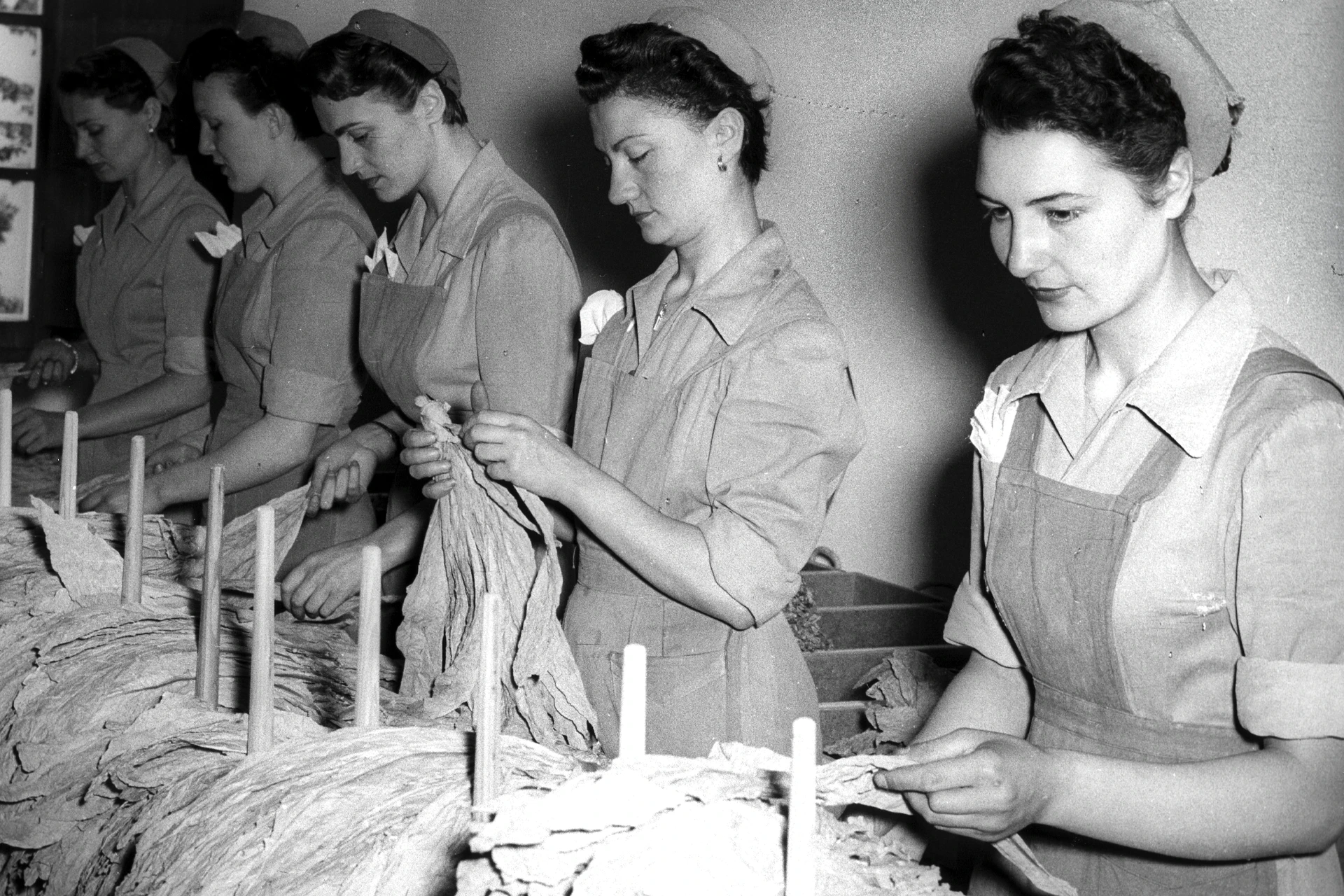 Mostra fotografica “Le Donne Ritrovate. Una Storia al femminile nell’Agenzia delle Dogane e dei Monopoli”