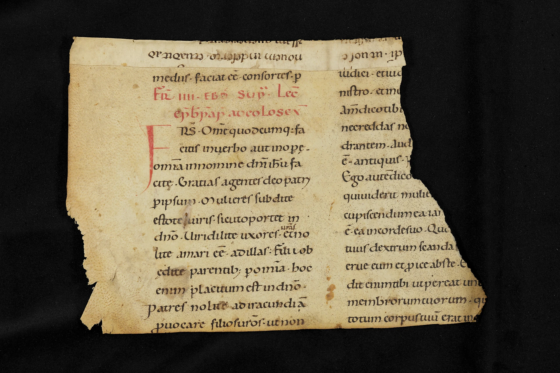 Frammento di libro su sfondo nero